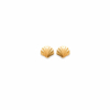 PUCES COQUILLAGE
